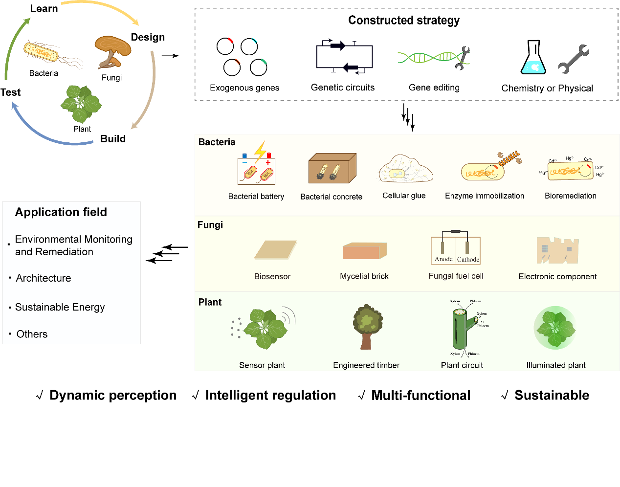 图1  细菌，真菌，植物 ELMs 的设计理念、方法和应用.png