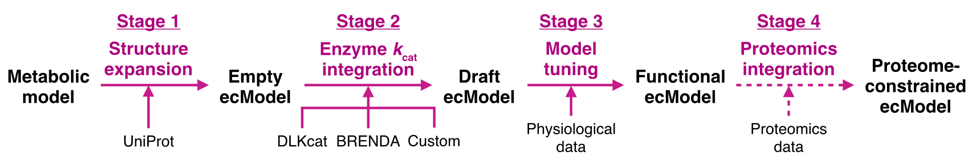 图2. 酶约束模型构建流程.png